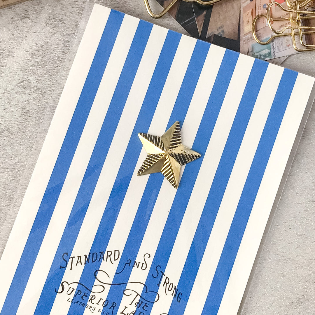 The Superior Labor Journal and Scrapbook: The Superior Labor Star concho B close-up detail