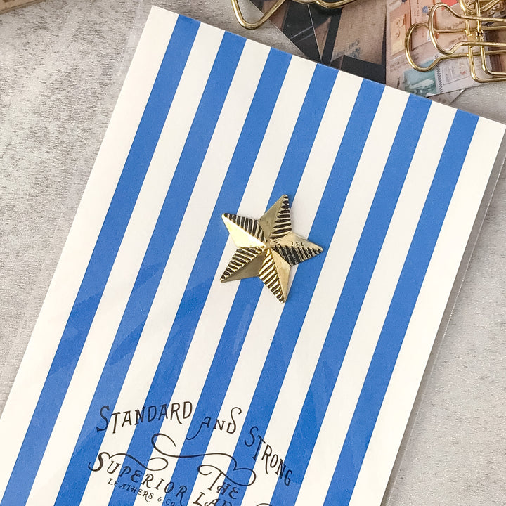 The Superior Labor Journal and Scrapbook: The Superior Labor Star concho B close-up detail