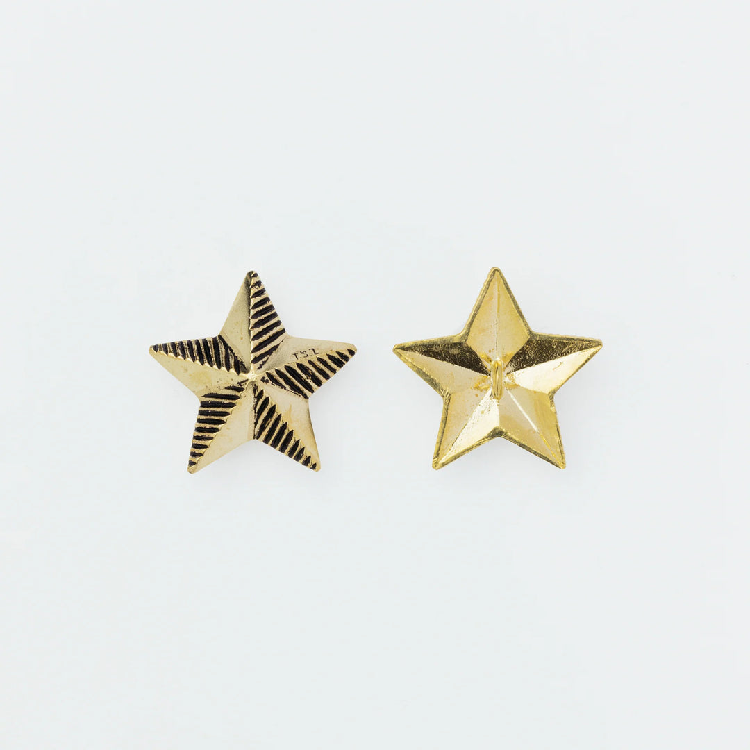 The Superior Labor Journal and Scrapbook: The Superior Labor Star concho B original packaging